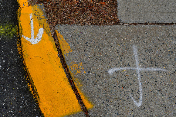 Yellow Curve